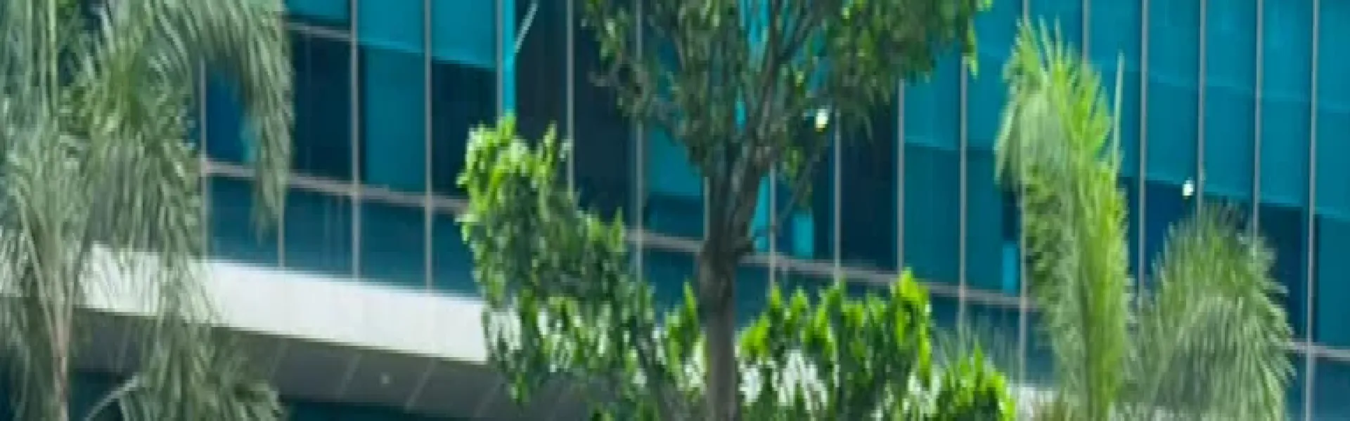Nandinie Tandon banner