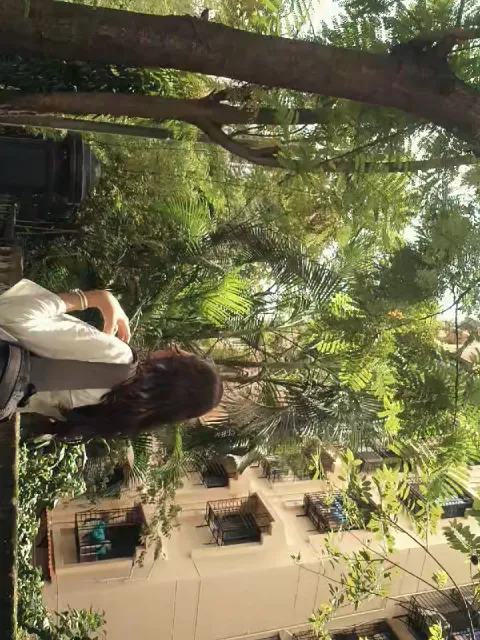 Kashish Joshi