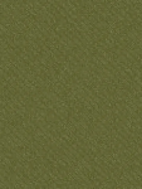 Test Test
