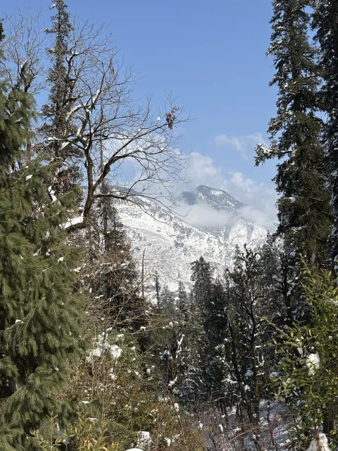 Alifiya Salar